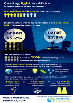 Casting light on Africa Infographic