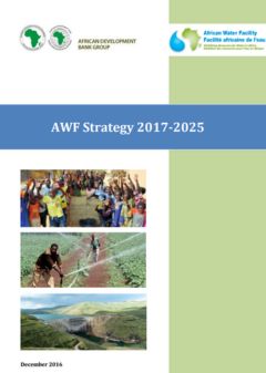 AWF Strategy 2017 - 2025
