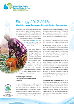 Summary of AWF Strategic Plan