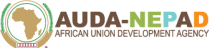 New Partnership for Africa’s Development (NEPAD)