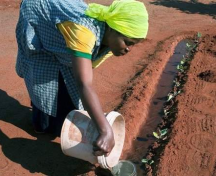 Promotion de services d’eau à usages multiples au profit de régions rurales et péri-urbaines en Afrique du Sud