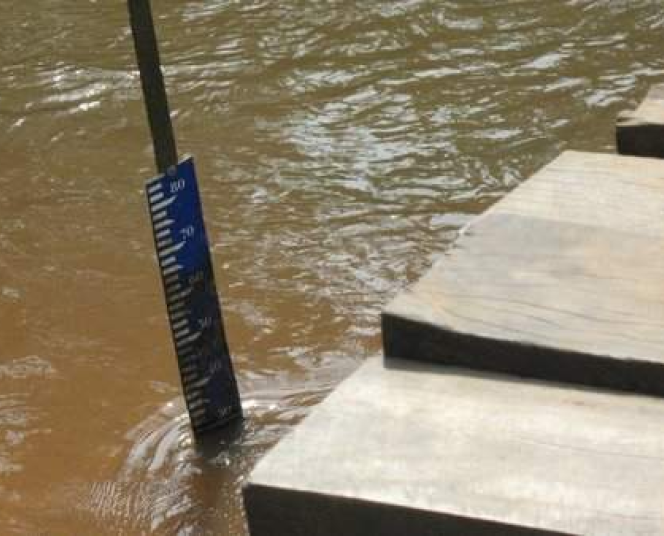 Valoriser les eaux pluviales pour réduire la pauvreté et lutter contre la sécheresse au Cameroun