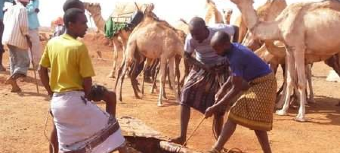 Renforcer la résilience face au stress hydrique au Somaliland