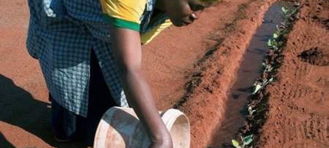Promotion de services d’eau à usages multiples au profit de régions rurales et péri-urbaines en Afrique du Sud