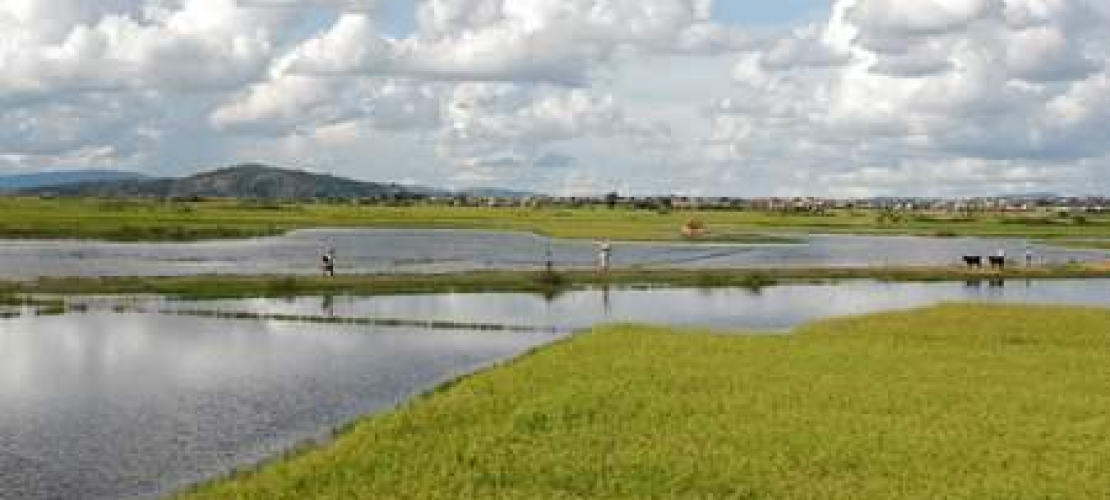 Des plans d’investissement pour l’assainissement de huit villes à Madagascar