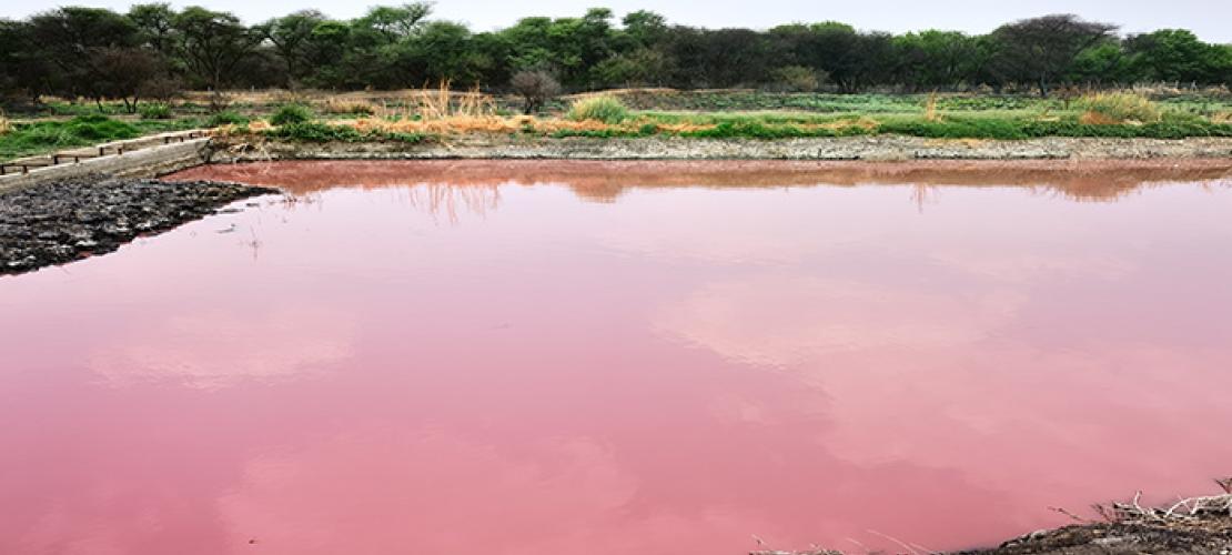 African Water Facility approves €1.3 million for the Development of Wastewater Treatment and Waste to Energy Plants in Otjiwarongo, Namibia